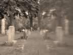 grave reflections 1 (sep).jpg (63kb)